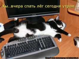 Слишком долгий сон говорит о серьезных проблемах со здоровьем