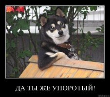 Неупорядоченная нормальность: сюрреалистические картины Пако Помета