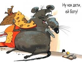 Мыши устроили пир в банкомате