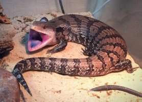 О! как знал...как знал...