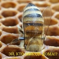 Фото-подборка