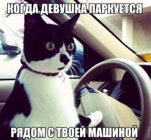 Женщина приметила свободное парковочное место и не глядя сдала назад