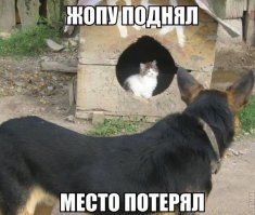 Женщина приметила свободное парковочное место и не глядя сдала назад