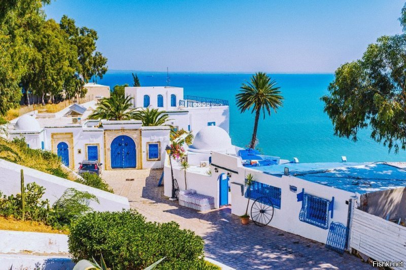 Сиди-бу-саид, Тунис.