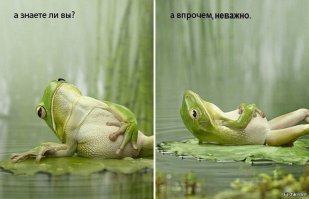 Это неправда и...