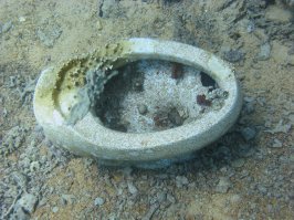 Поглощенные водой - ужас и красота затонувшей техники