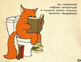 Фото-подборка