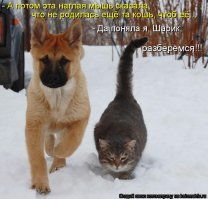 Мыши устроили пир в банкомате