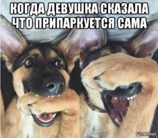 Женщина приметила свободное парковочное место и не глядя сдала назад