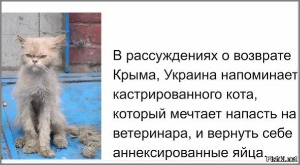 Солянка для Майдана. Часть 214