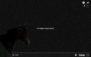 Хозяин выпустил лошадей погулять в снегопад, и их реакция рассмешила интернет
