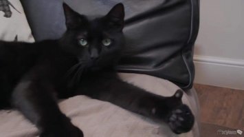 какой замечательный конец у истории