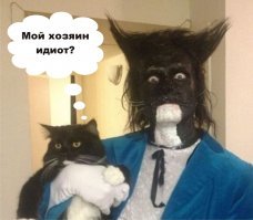 Когда хозяин идиот