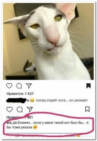 А по мне - так все котики красивые   даже после фотошопа..