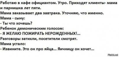 Вот как выглядят варенные пингвиньи яйца