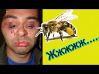 Фото-подборка