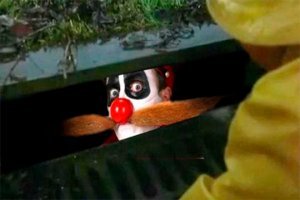 Фото-подборка