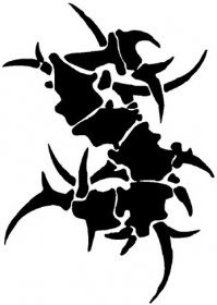 О, я тоже был молод. Нравилась мне группа Supultura. Даже думал татуировку ихнюю "S" на плече сделать. Грезил этой идеей просто. Но потом вышел альбом Rootsb любовь к группе поугасла :). Рад был что не сделал это. А теперь рад вообще, что своё тело татуировками не засрал.