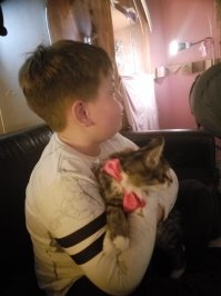 чего экспериментально? лайки нужны? в Калуге уже 2 года такое кафе есть. "Меховое кафе", ул. Королева 27. Дом обрели уже больше 50 кошек и котов.  Племяш жмет кота по имени "Миксер" :)