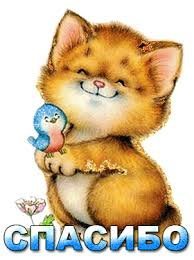 Фото-подборка