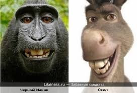 Где-то я это уже видел....