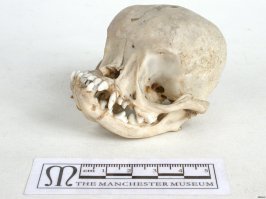 Картинки с надписями для настроения