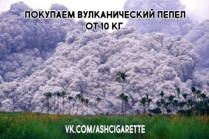 походу в тему )))