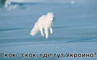 А теперь к ним скачет Он.