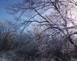 Просто красивые фото