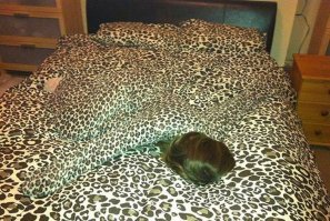 Мечта интроверта: свитер, в котором можно слиться с обстановкой