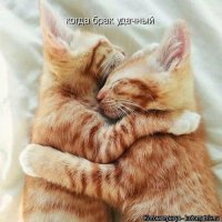 Фотоприколы, подборка часть 1