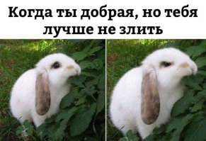 Народный юмор в веселых фото