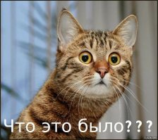 Помогайте тем, кто рядом. Иначе однажды может стать поздно…