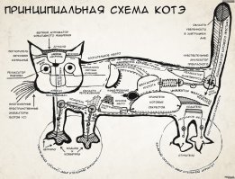 10 кошачьих секретов, о которых вы не догадывались
