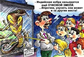 Индиец скончался от укуса кобры, которой попытался зашить пасть