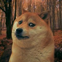 Всё понятно, кроме одного: при чём тут вообще Макс Фрай???