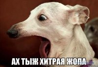 Смешные комментарии и высказывания из социальных сетей