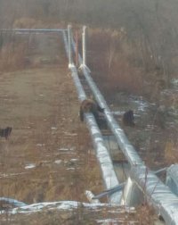 Это Россия! Не расслабляться!