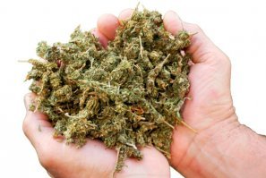 Пьяная вечеринка закончилась для 12-летней отличницы комой