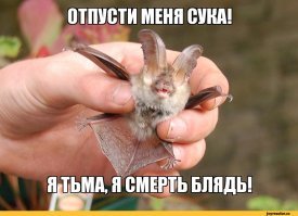 Напомнило. XD