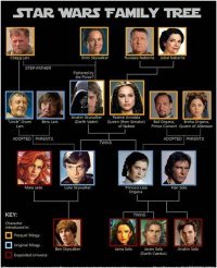 Наверное, выдрано из старой энциклопедии по ЗВ, времен 2007-2010 годов, из расширенной фанатской вселенной?
Уже неактуально, - как показывает дальнейшее развитие истории - у Люка вообще нет сына Бена, да и у четы Соло все совсем не так