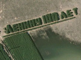 Щедрость государства не знает границ. Я сражён наповал