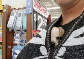 Хорошо, когда у бездомного малыша находится ангел-хранитель. Всем бы брошенным ребятам и зверятам пожелать такого отношения, да только где ж на всех ангелов-то набрать?!..