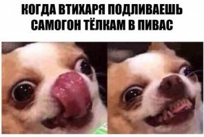 Картинки с надписями для настроения