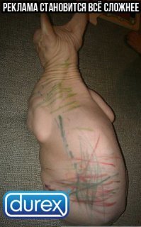 Картинки с надписями для настроения