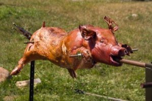 Молодой поросенок. Хорош сцуко и без соусов