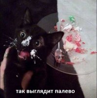 Смешные картинки с надписями