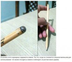 У меня бы не получилось. Я бы эти семена сгрыз раньше, чем закончится карандаш. Ну, привычка у меня с детства дурацкая. Грызу карандаши. Машинально. Не замечая этого.