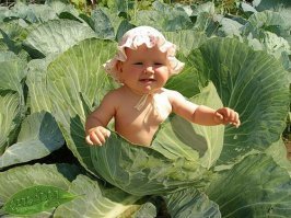 Картинки с надписями для настроения