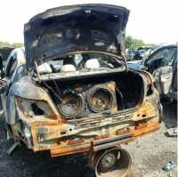 из всех фото порадовала только эта. туда им и дорога